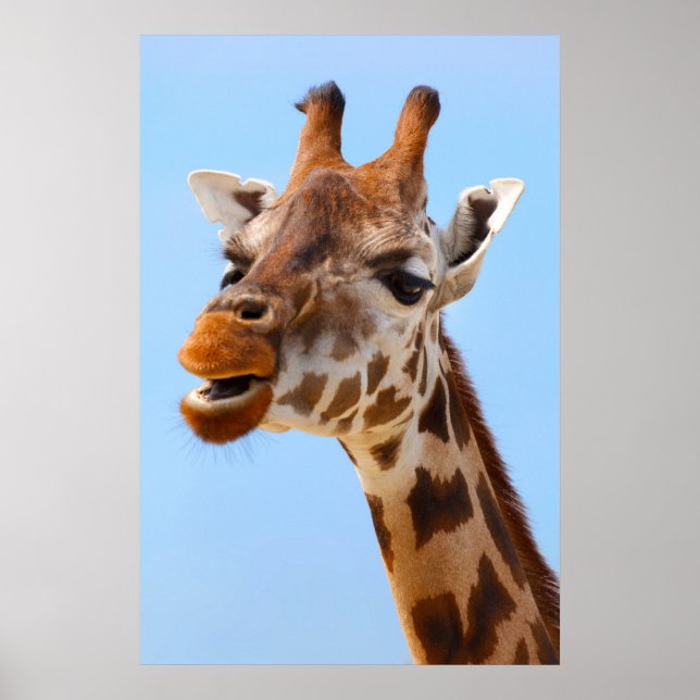 Póster Giraffe Portrait poster (Frente)