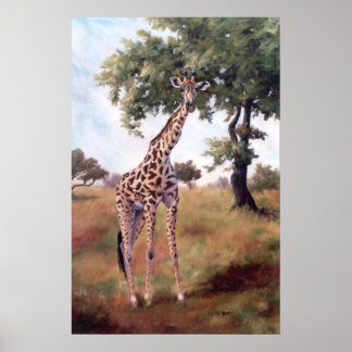 Póster Giraffe Standing Tall Poster