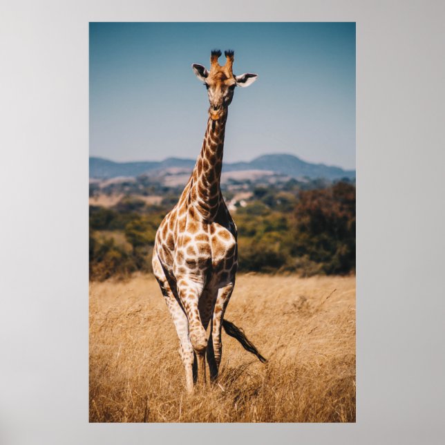 PÓSTER GIRAFFE SURROUNDED BY BROWN GRASS (Frente)