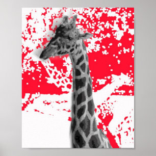 Póster Giraffes, Resumen En Rojo