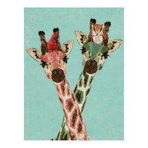GIRAFFES Y CARACTERÍSTICAS