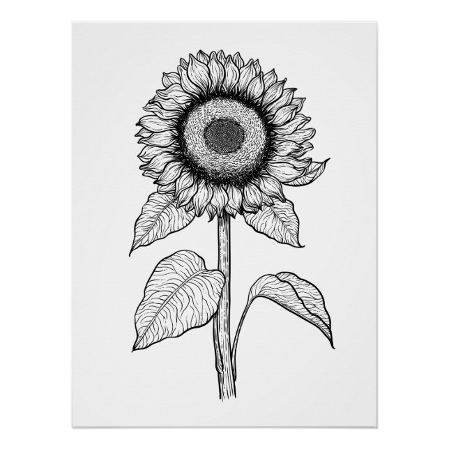 Póster Girasol (Anverso)