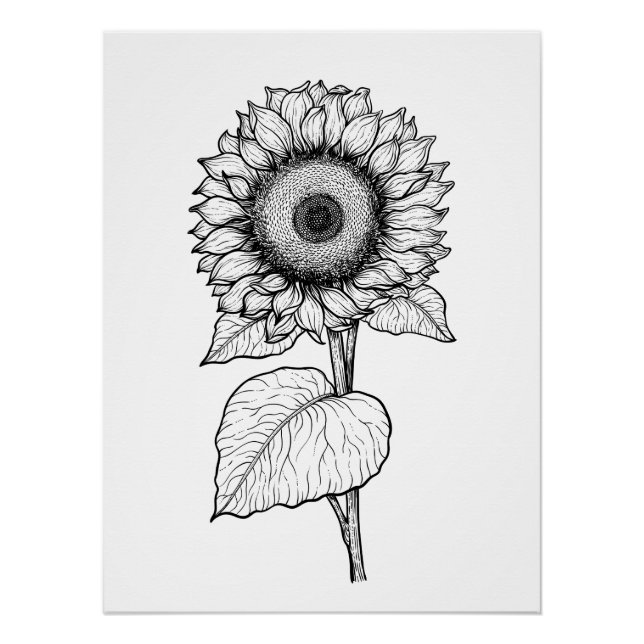 Póster Girasol (Anverso)