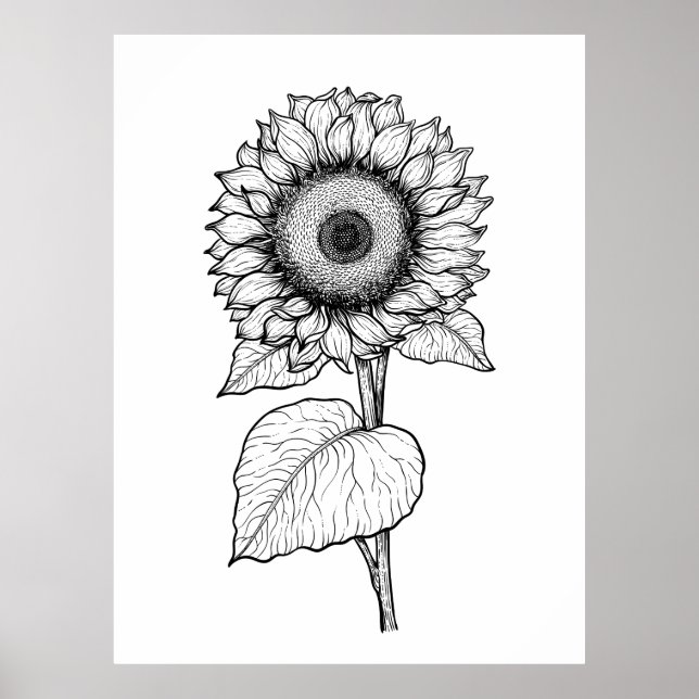 Póster Girasol (Frente)
