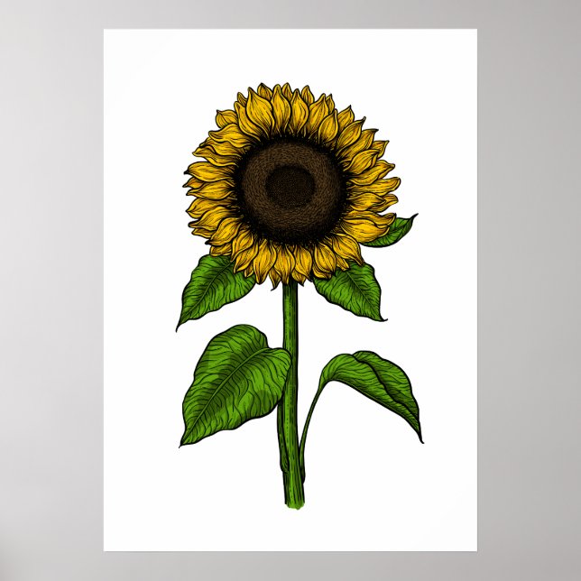 Póster Girasol (Frente)