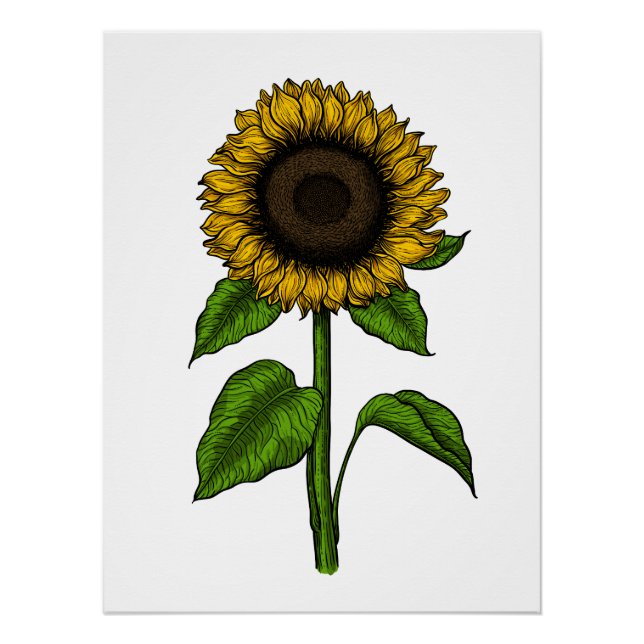 Póster Girasol (Anverso)