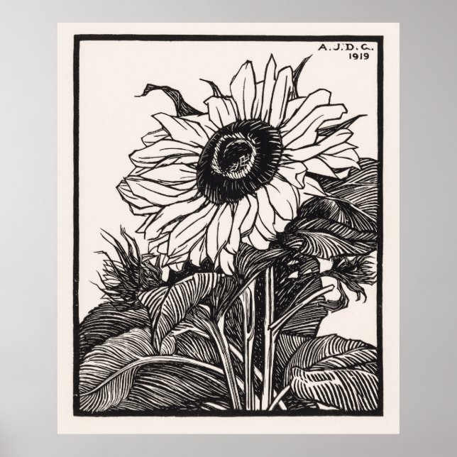 Póster Girasol (Frente)