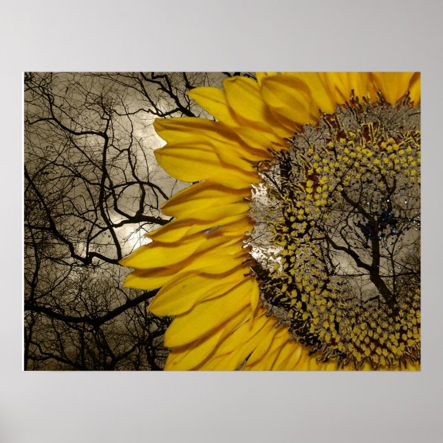 Póster girasol (Frente)