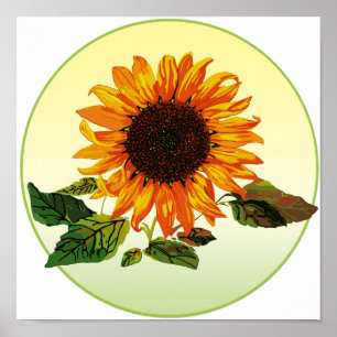 Póster Girasol