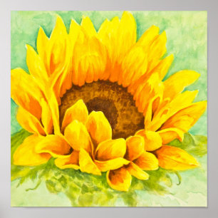 Póster Girasol