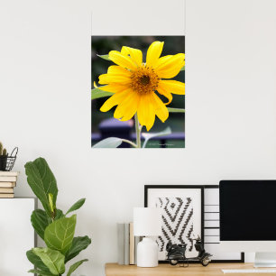 Póster Girasol Amarillo Brillante