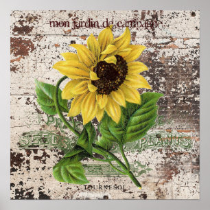 Póster Girasol amarillo en el panel de madera rústica