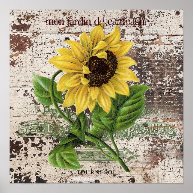 Póster Girasol amarillo en el panel de madera rústica (Frente)