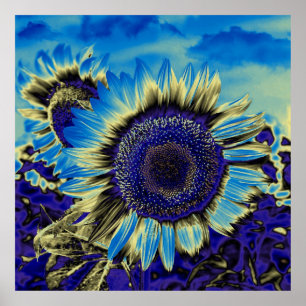 Póster Girasol azul