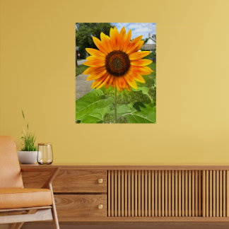 Póster Girasol brillante