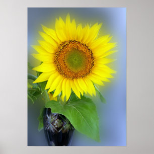 Póster girasol brillante