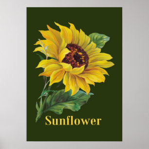 Póster Girasol dorado