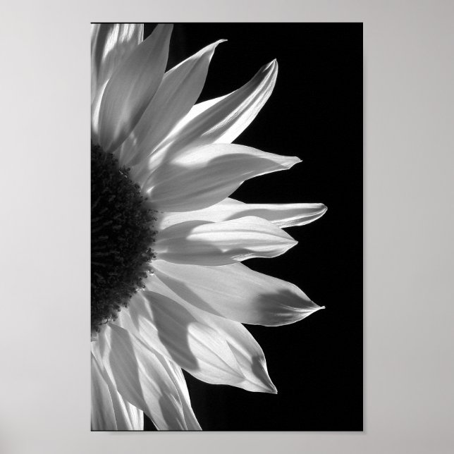 Póster Girasol en blanco y negro (Frente)