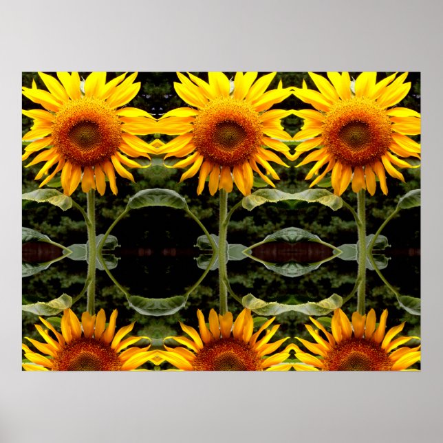 Póster Girasol gigante, patrón de flores amarillas (Frente)