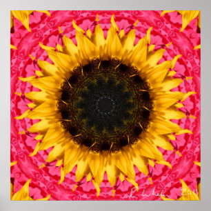 Póster Girasol giratorio