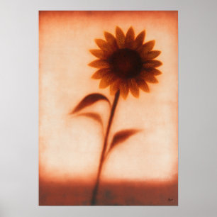 Póster Girasol Himawari Abstracción Floral Japonesa