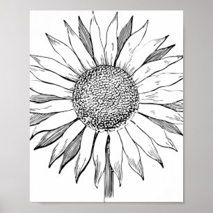 Póster Girasol ilustrado