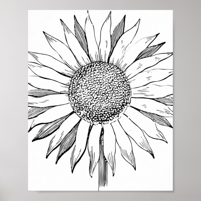 Póster Girasol ilustrado (Frente)