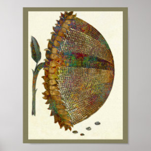 Póster Girasol italiano medieval
