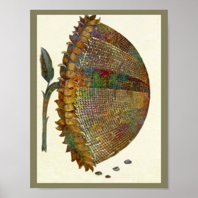 Póster Girasol italiano medieval (Frente)