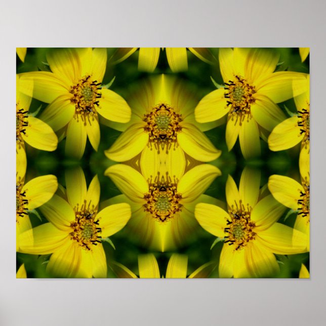 Póster Girasol Maximillian Abstracto         (Frente)