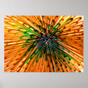 Póster Girasol Organe