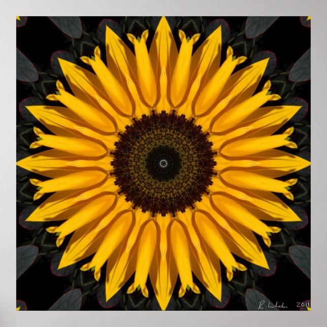Póster Girasol perfecto (Frente)