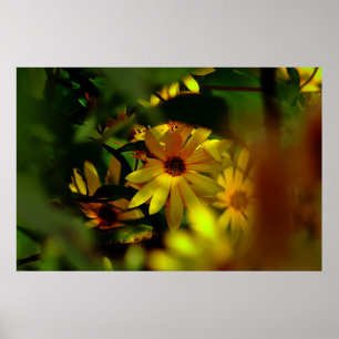 Póster Girasol salvaje
