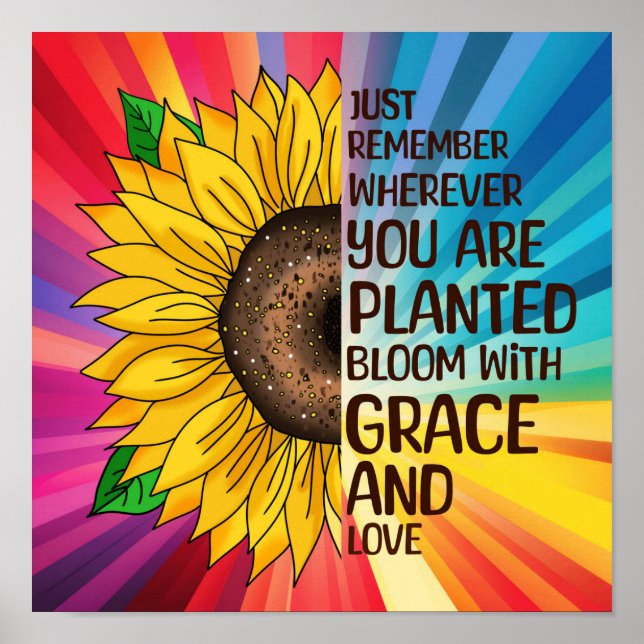 Póster Girasol y presupuesto | Dondequiera que esté plant (Frente)