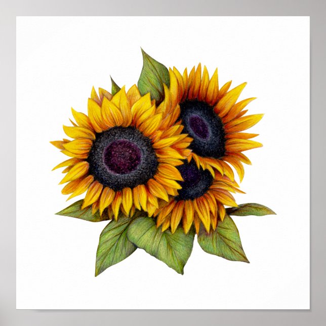Póster Girasoles (Frente)