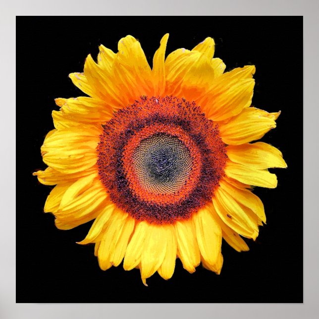 PÓSTER GIRASOLES (Frente)