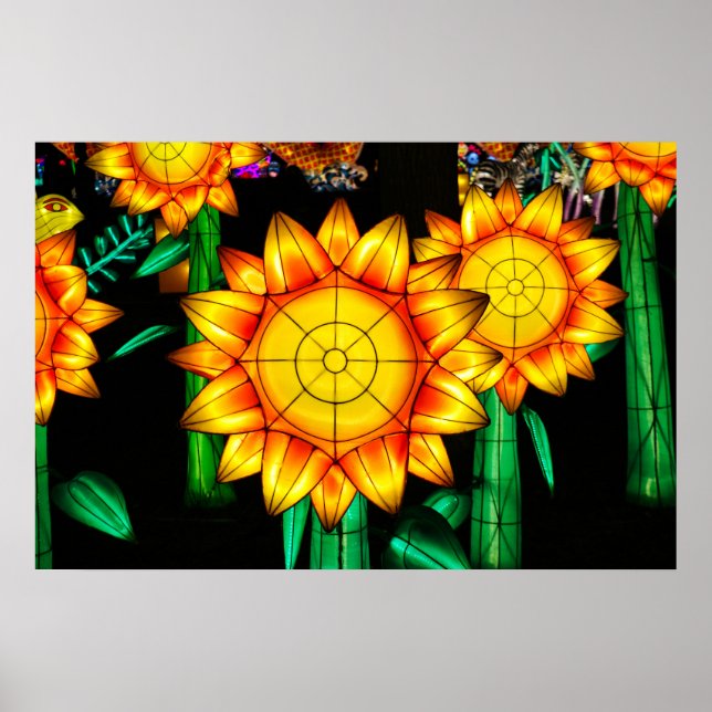 Póster Girasoles de llamarada solar  (Frente)