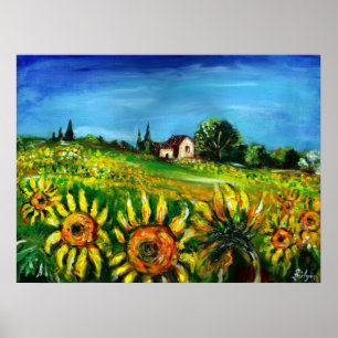 PÓSTER GIRASOLES Y CAMPO EN TOSCANA