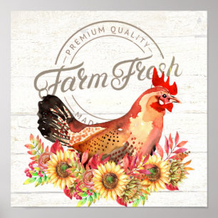 Póster Girasoles y pollo de granja fresca