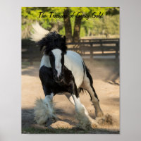 Gitano Gitano Gitano Vanner Treasure poster