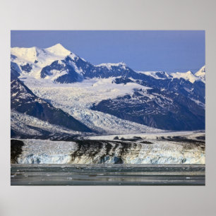 Póster Glaciar de Harvard en el fiordo de la universidad,
