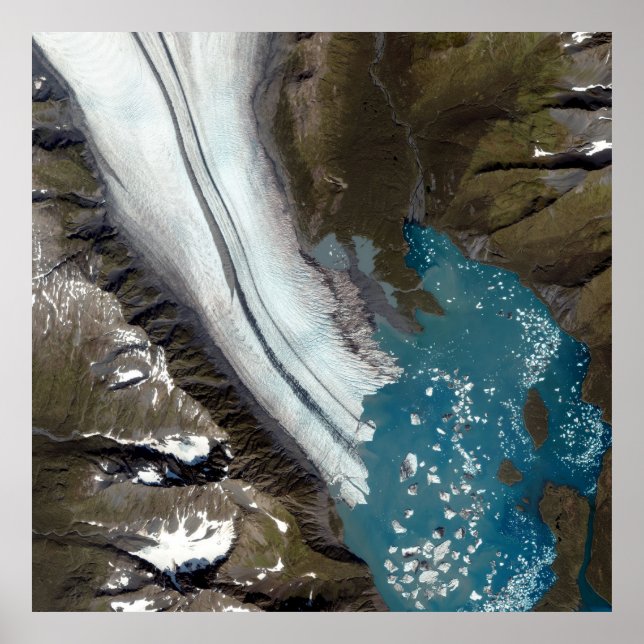 Póster Glaciar de oso Alaska (Frente)