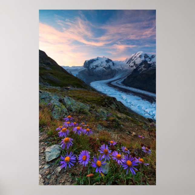 Póster Glaciar Monte Rosa | Suiza (Frente)