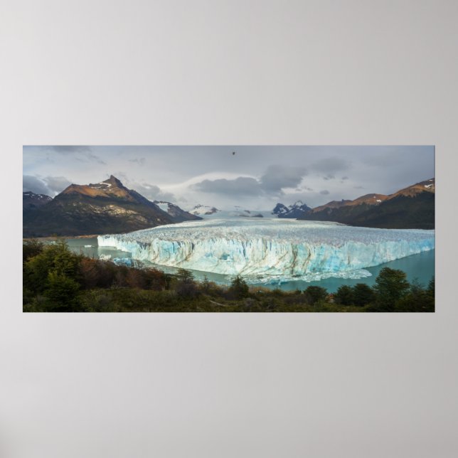 Póster Glaciar Perito Moreno Panorámico (Frente)