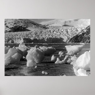 Póster Glaciar Taku cerca de Juneau, Alaska Fotografía 2