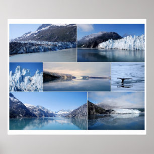 Póster Glacier Bay Alaska Collage 24 x 20 Poster