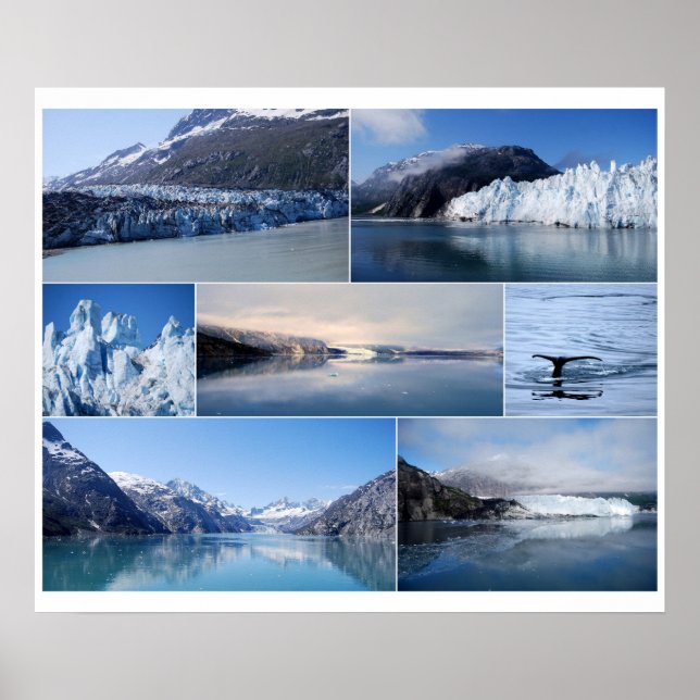 Póster Glacier Bay Alaska Collage 24 x 20 Poster (Frente)