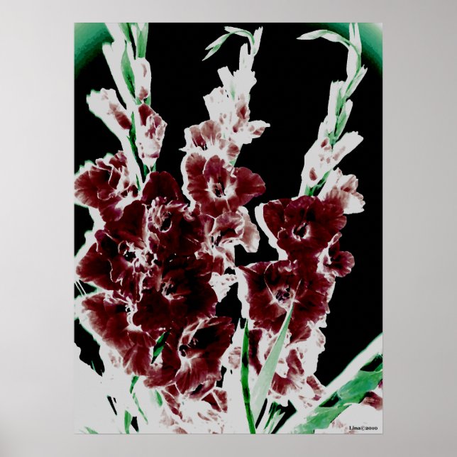 Póster Gladiolas de Borgoña por Lina (Frente)