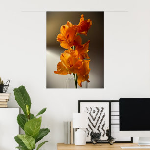 Póster Gladioli,