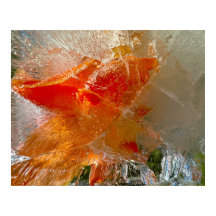 Gladioli en hielo,